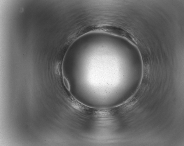 X0000071330286200606301608