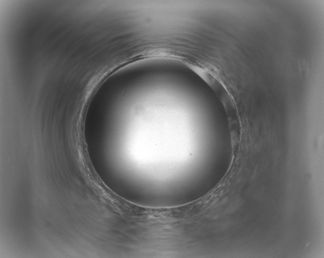 X0000071330289200606301608