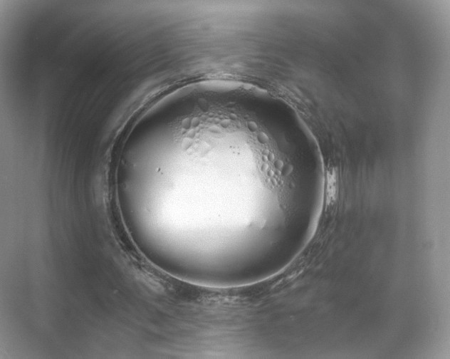 X0000071330291200606301608