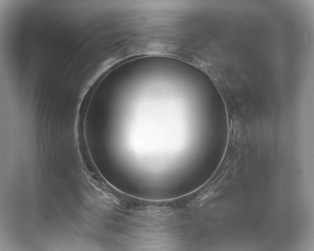 X0000071330292200606301608