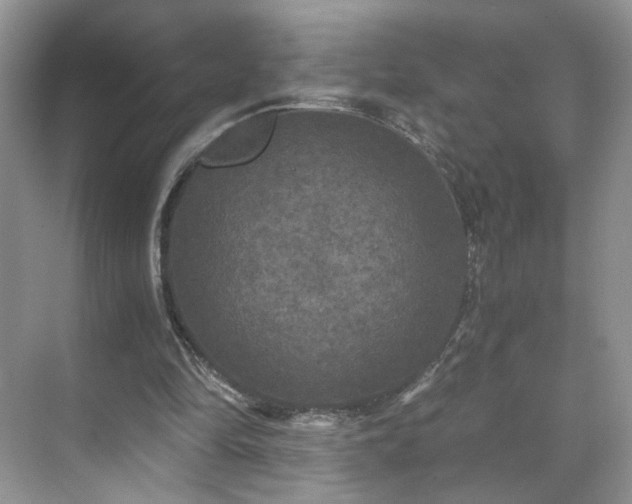 X0000071330294200606301608