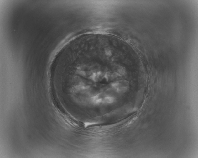 X0000071330295200606301608