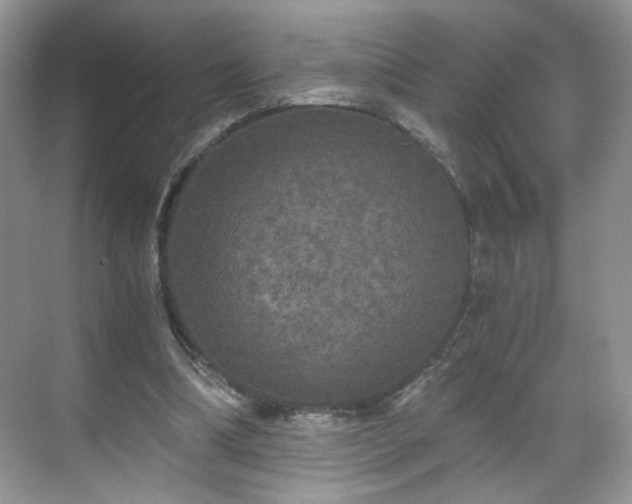 X0000071330298200606301607