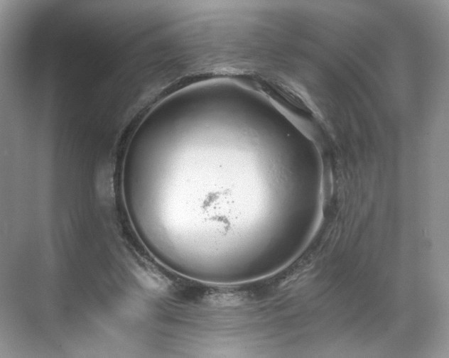 X0000071330299200606301607