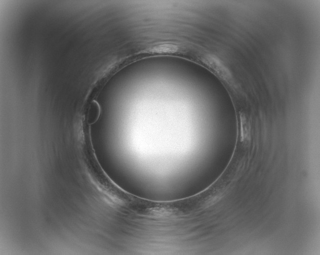 X0000071330300200606301607