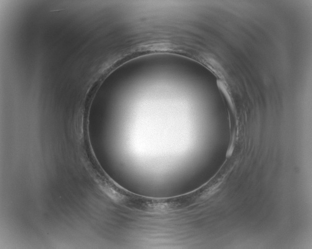 X0000071330301200606301607