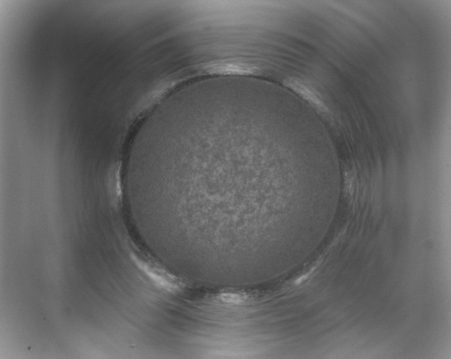 X0000071330302200606301607