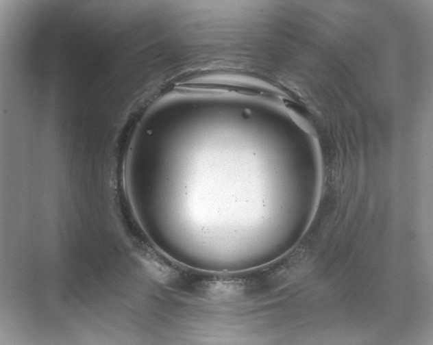 X0000071330303200606301607