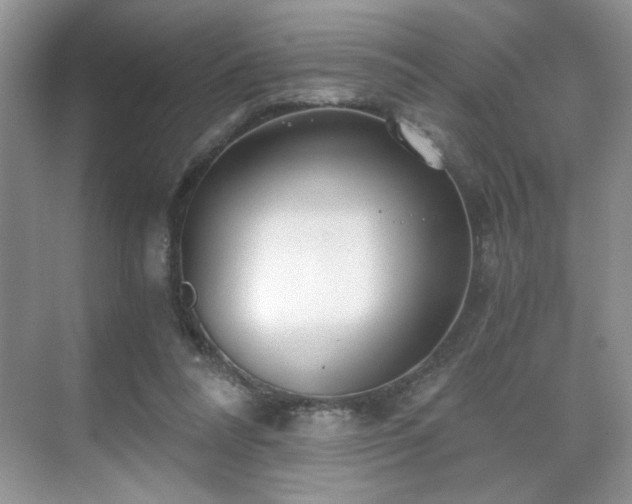 X0000071330304200606301607