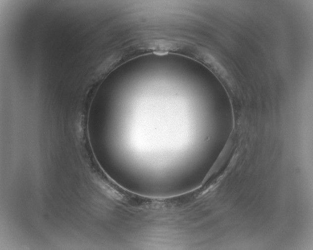 X0000071330305200606301607