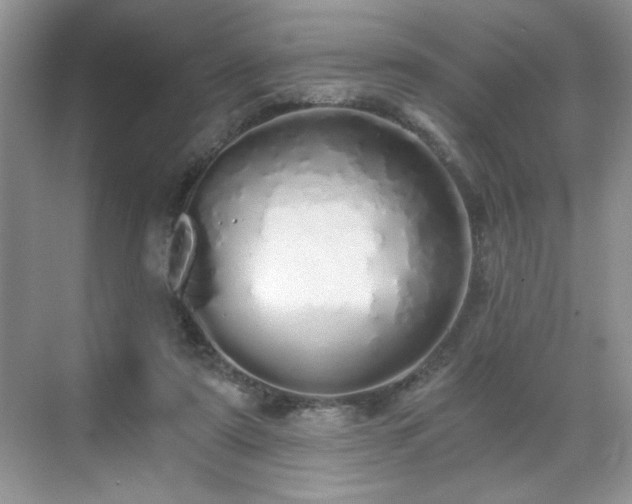 X0000071330307200606301607