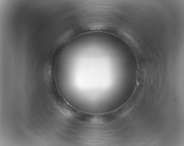 X0000071330308200606301607