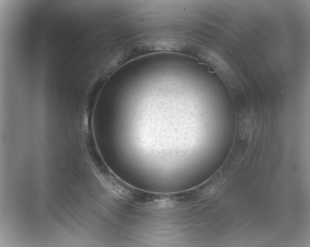 X0000071330310200606301607