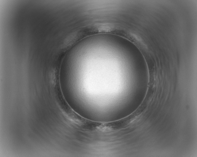 X0000071330311200606301607