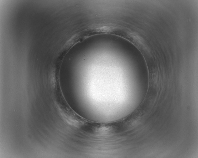 X0000071330312200606301607