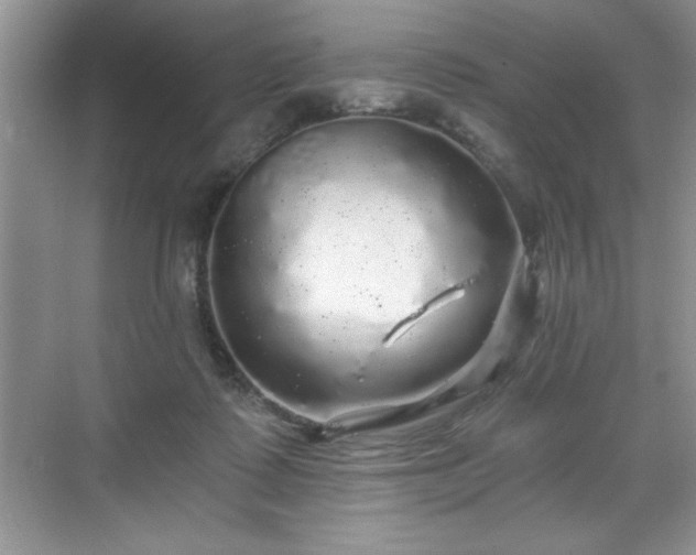 X0000071330315200606301607