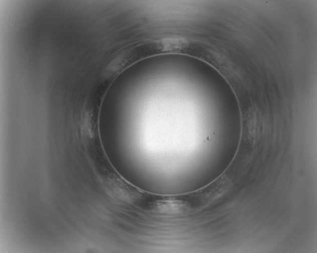 X0000071330316200606301607