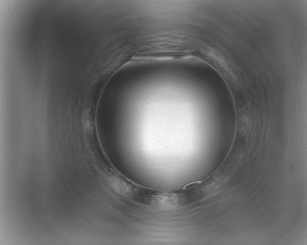 X0000071330317200606301607