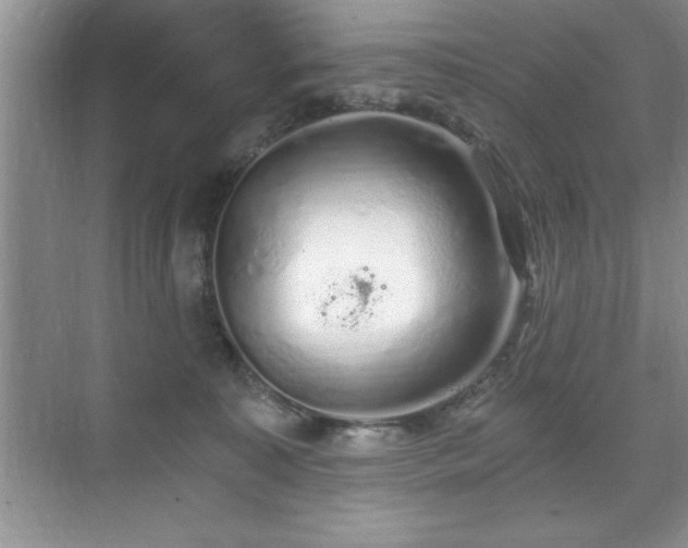 X0000071330323200606301607