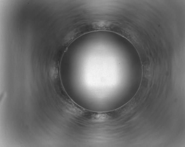 X0000071330324200606301607