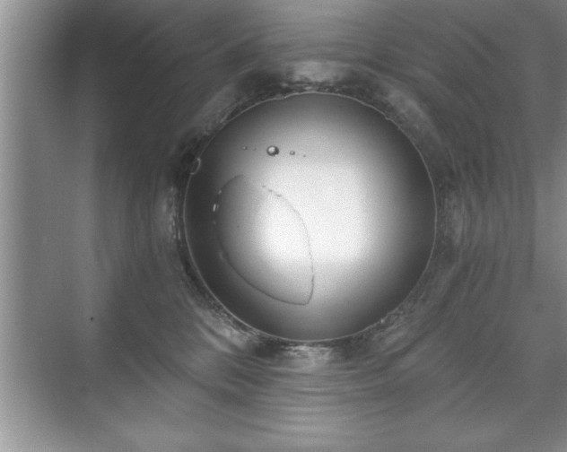 X0000071330328200606301607