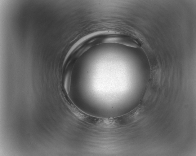 X0000071330329200606301607