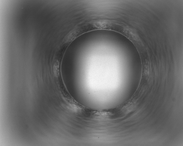 X0000071330332200606301607