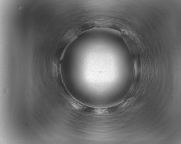 X0000071330333200606301607