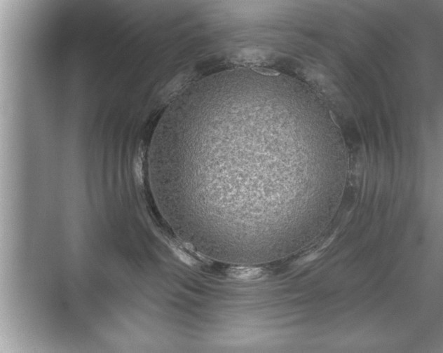 X0000071330334200606301607