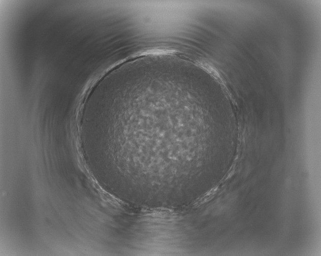 X0000071330337200606301606