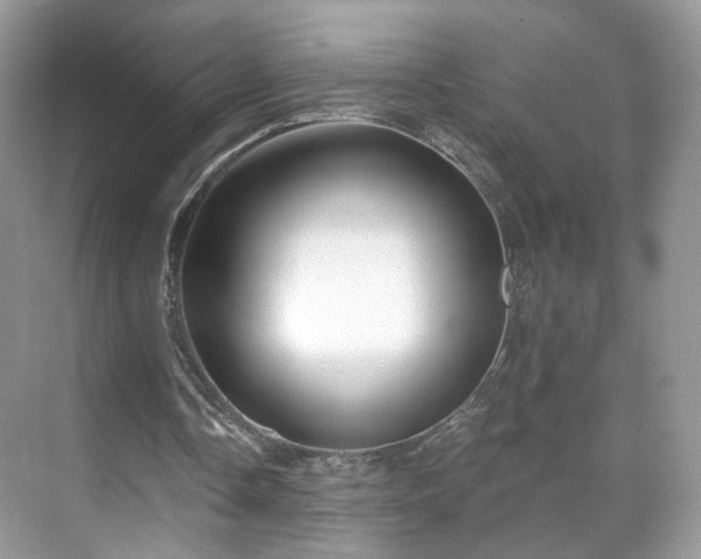 X0000071330338200606301606