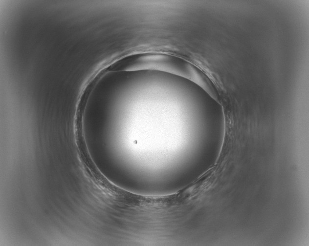 X0000071330340200606301606