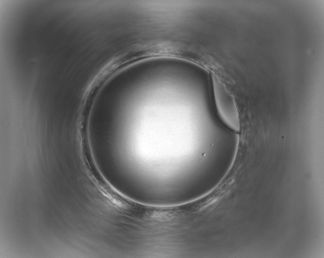 X0000071330341200606301606