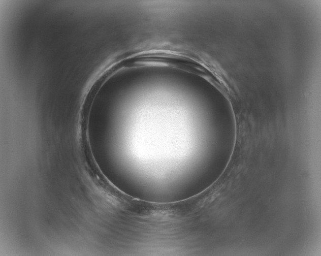 X0000071330344200606301606