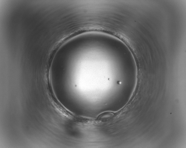 X0000071330345200606301606