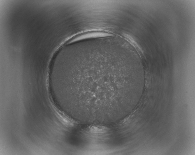 X0000071330346200606301606