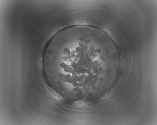 X0000071330351200606301606