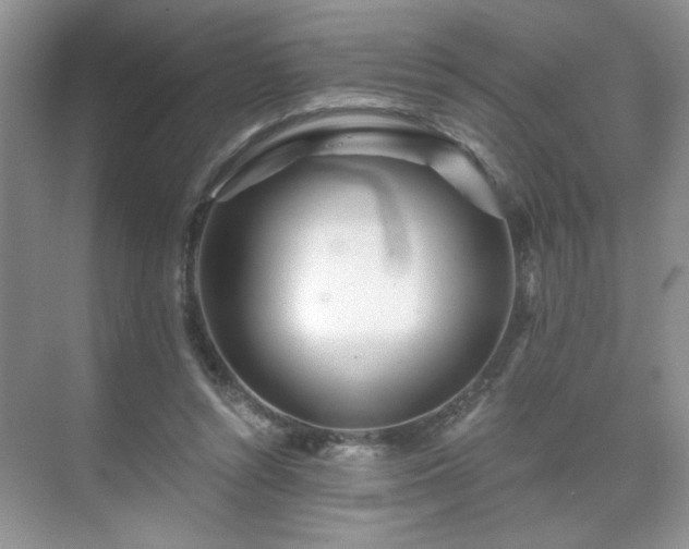 X0000071330352200606301606