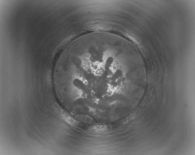 X0000071330353200606301606