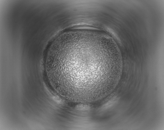 X0000071330354200606301606