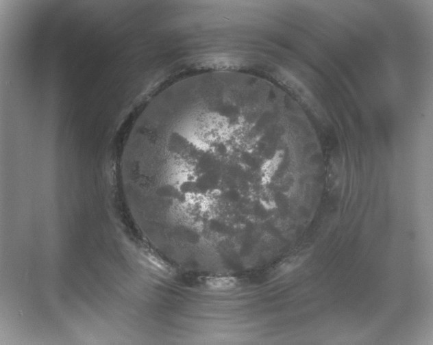 X0000071330355200606301606