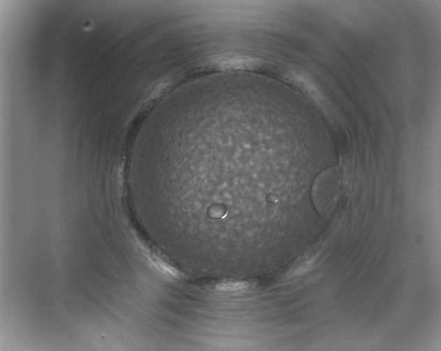 X0000071330357200606301606