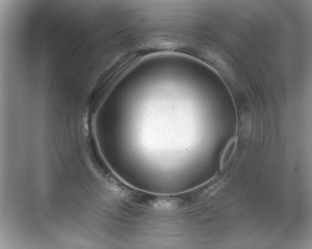 X0000071330358200606301606