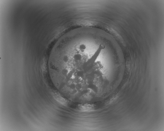 X0000071330359200606301606