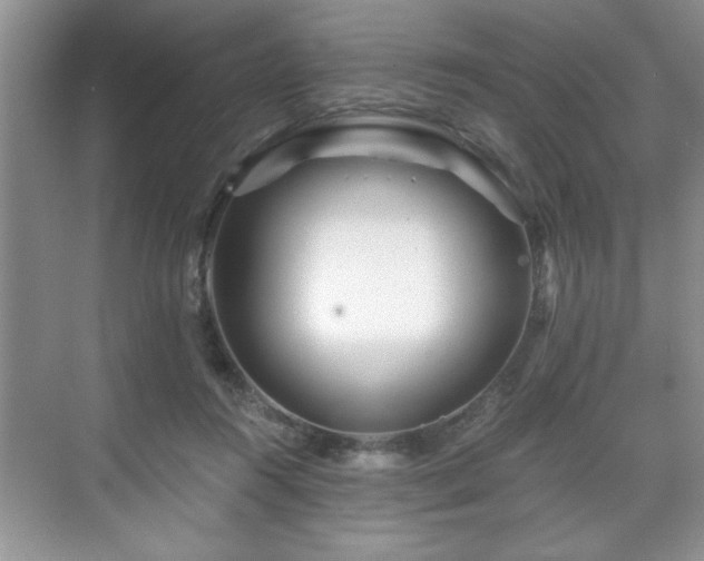 X0000071330360200606301606