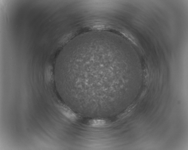 X0000071330361200606301606