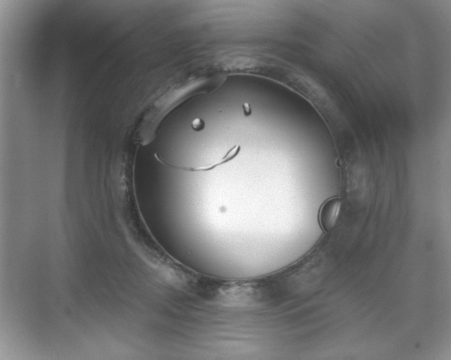 X0000071330362200606301606