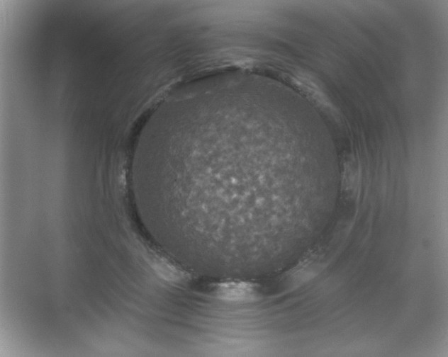 X0000071330363200606301606