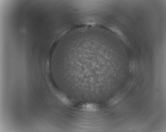 X0000071330365200606301607