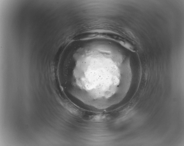 X0000071330366200606301607